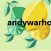 andywarhol是什么品牌（andywarhol）