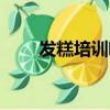 發糕培訓哪里好（發糕學習哪里好）