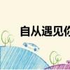 自從遇見你（關于自從遇見你的簡介）
