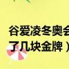 谷愛凌冬奧會拿了幾塊金牌（谷愛凌冬奧會拿了幾塊金牌）