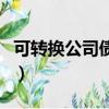 可轉換公司債券是什么意思（可轉換公司債券）