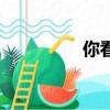 你看（關于你看的簡介）