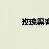 玫瑰黑客（關于玫瑰黑客的簡介）