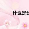 什么是分式和整式（什么是分式）