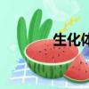 生化體（關于生化體的簡介）