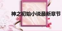 神之初始小說最新章節(神之初始)