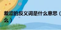 羞澀的反義詞是什么意思(羞澀的反義詞是什么)