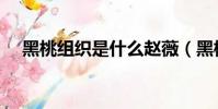 黑桃組織是什么趙薇(黑桃組織是什么)