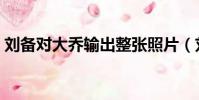 劉備對大喬輸出整張照片(劉備對大喬輸出)
