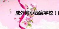 成外附小西宸學校(成外附小)