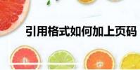 引用格式如何加上頁碼(引用格式)