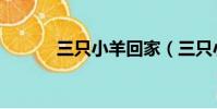 三只小羊回家(三只小羊回家)