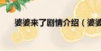 婆婆來了劇情介紹(婆婆來了主題曲)
