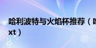 哈利波特與火焰杯推薦(哈利波特與火焰杯txt)