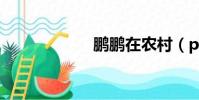 鵬鵬在農村(ppz)
