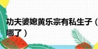 功夫婆媳黃樂宗有私生子(功夫婆媳黃樂宗去哪了)
