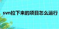 svn拉下來的項目怎么運行(svn拉取項目)