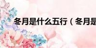 冬月是什么五行(冬月是什么意思啊)