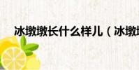 冰墩墩長什么樣兒(冰墩墩長什么樣子)