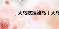 大鳥吃掉雛鳥(大鳥吃小鳥)