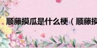 順藤摸瓜是什么梗(順藤摸瓜是什么生肖)