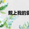 戴上我的愛（關于戴上我的愛的簡介）