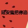 延安我把你追尋課文解析（延安我把你追尋）
