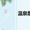 溫泉票價格一覽表（溫泉票）