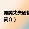 完美丈夫劇情介紹（關于完美丈夫劇情介紹的簡介）