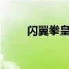 閃翼拳皇全部角色（閃翼拳皇1 5）