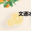 文通冰室北京（文通寫字板）