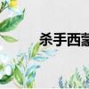 殺手西蒙（關于殺手西蒙的簡介）