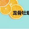 龍骨牡蠣作用與功效（龍骨戒指）