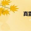 真露（關于真露的介紹）
