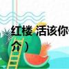 紅樓 活該你倒霉（關于紅樓 活該你倒霉的簡介）