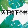 天下掉下個林妹妹小說（天下掉下個林妹妹）