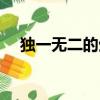 獨一無二的生日配文（獨一無二日文版）