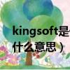 kingsoft是什么軟件怎樣刪除（kingsoft是什么意思）