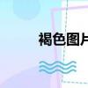 褐色圖片（關于褐色圖片的簡介）