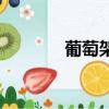 葡萄架（關于葡萄架的簡介）