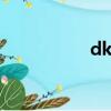 dkt1支持率（dkt10）