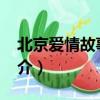 北京愛情故事14（關于北京愛情故事14的簡介）