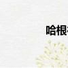 哈根德斯皮具（哈根德斯）