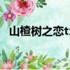 山楂樹之戀txt在線閱讀（山楂樹之戀txt）