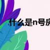 什么是n號房（關于什么是n號房的簡介）