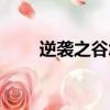 逆襲之谷怎么進（逆襲之谷怎么打）