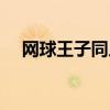 網球王子同人游戲（網球王子同人游戲）