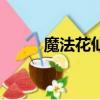 魔法花仙子夏安安（魔法花學院）