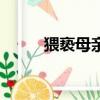 猥褻母親（關于猥褻母親的簡介）