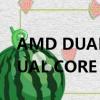 AMD DUAL CORE OPTIMIZER（AMD DUAL CORE OPTIMIZER）